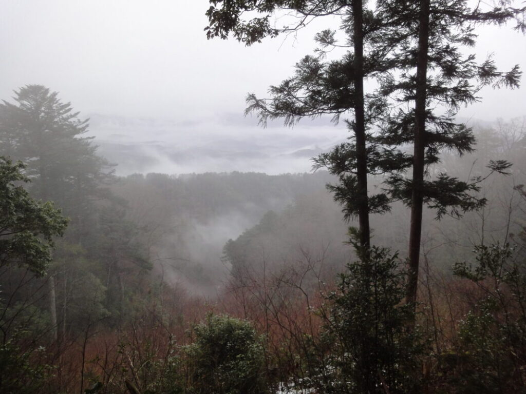 愛媛 久万高原エリアの霧がかかった深い山々：真冬の歩き遍路