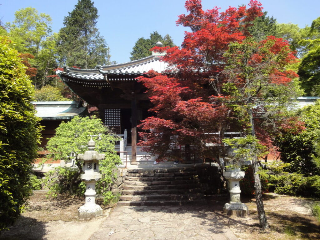 Temple grounds at peak autumn foliage