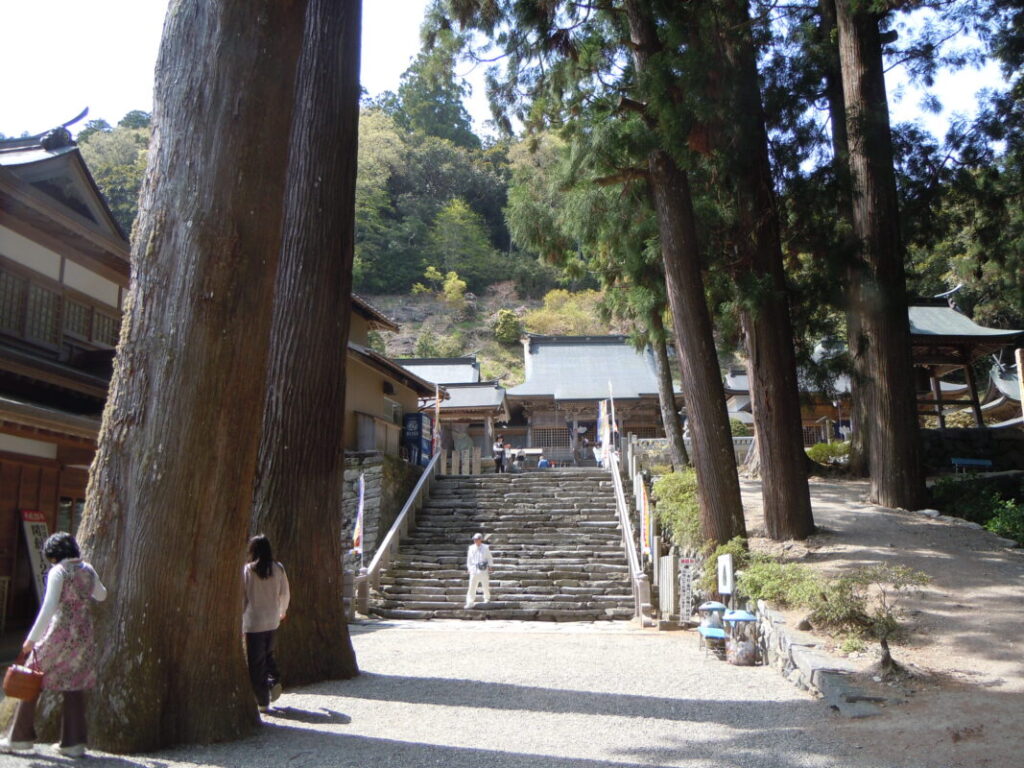四国八十八カ所お遍路第12番札所｜焼山寺の境内｜杉の大木の大きさが周囲の人との比較で分かる