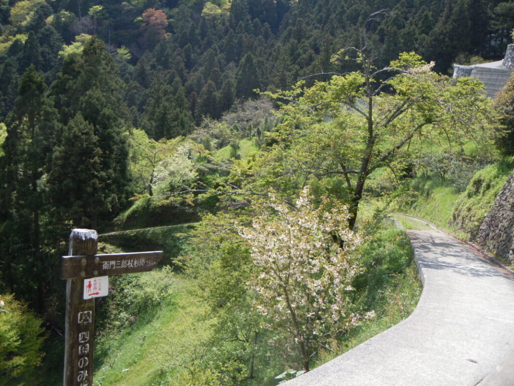 焼山寺を過ぎた穏やかな下り坂