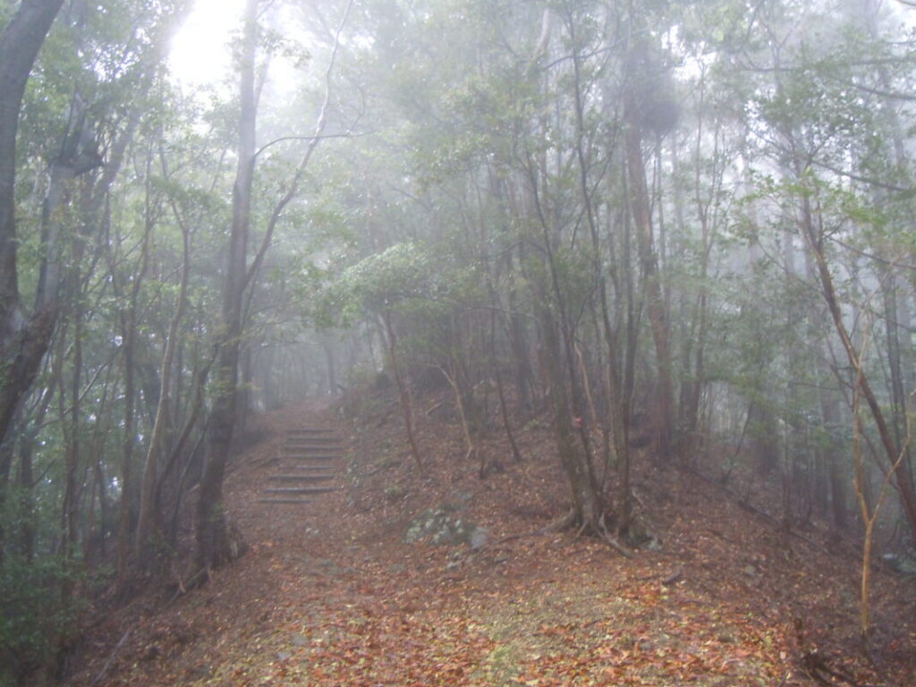 雨の鶴林寺山道｜霧かかってきた