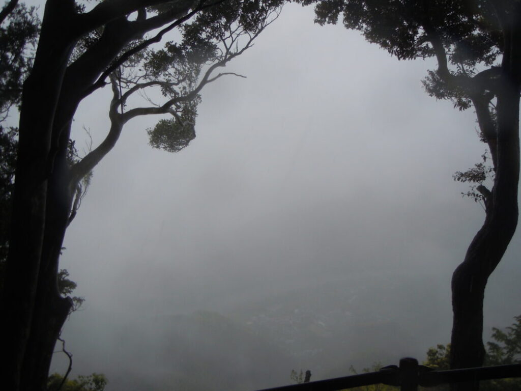 鶴林寺山道｜霧で麓の町並みは見えない