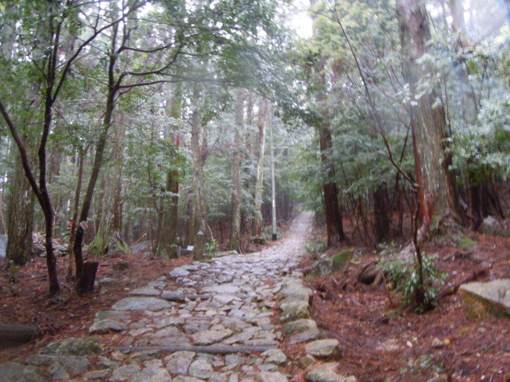 雨の鶴林寺山道｜石畳