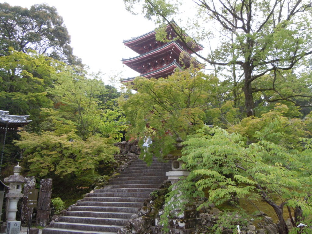 31番 竹林寺：五重塔