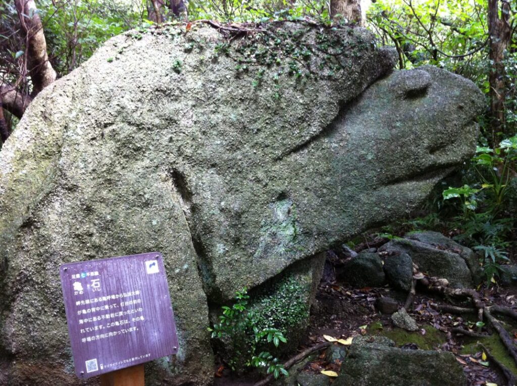 足摺七不思議のひとつ 亀石