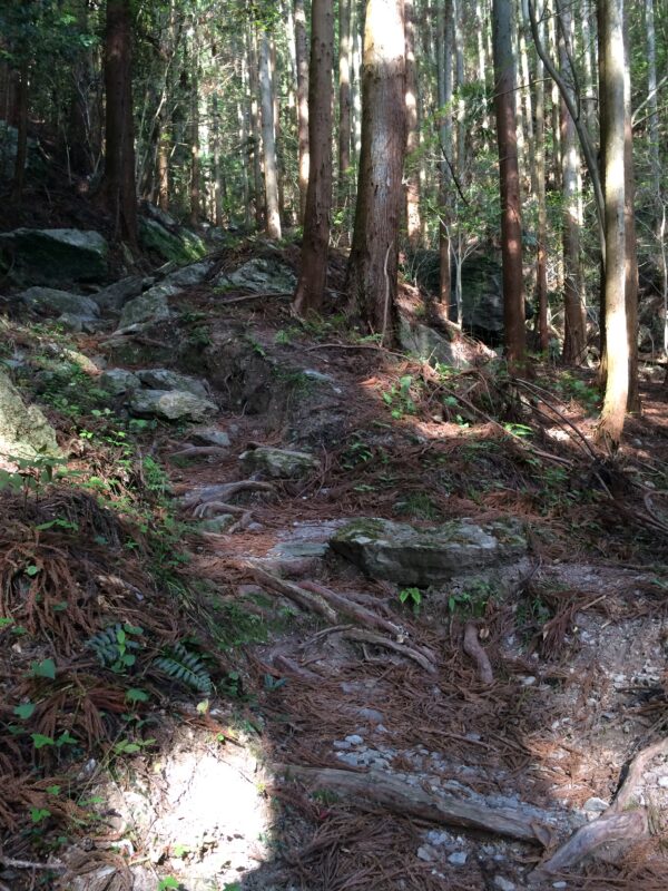 焼山寺参道｜目の前に立ちはだかる急な斜面｜遍路転がし