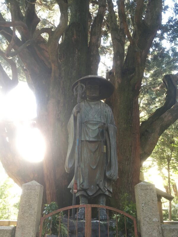 巨大な一本杉と弘法大師の像