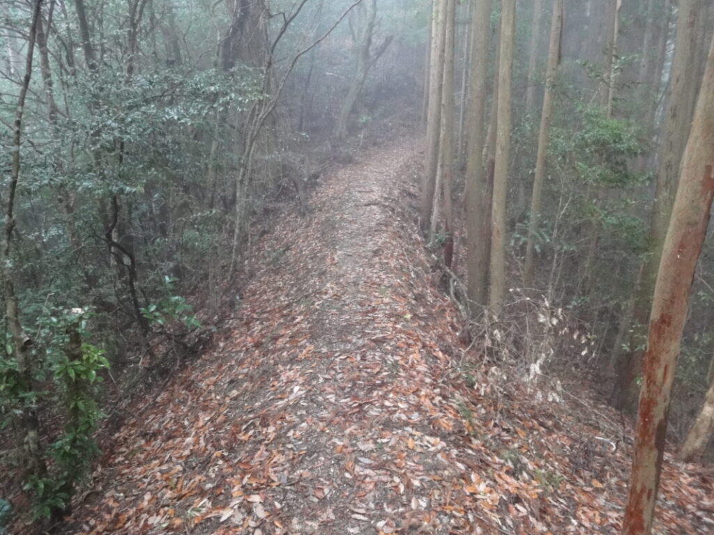 雨と霧で見通しの悪い遍路道：45番 岩屋寺
