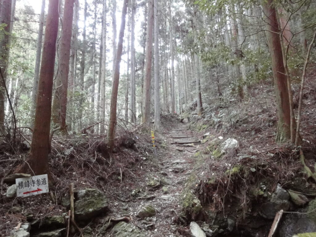 Pilgrimage Trail to Yokomine-ji: Mountain Path