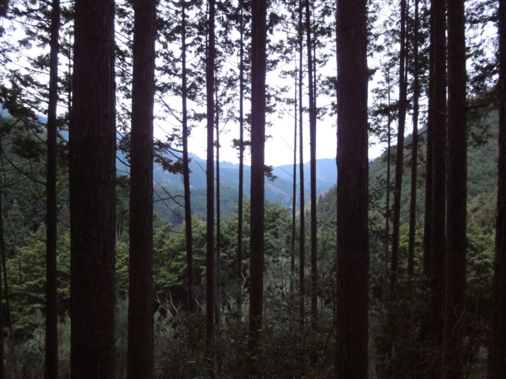 Shimosakaba Pass Pilgrimage Trail