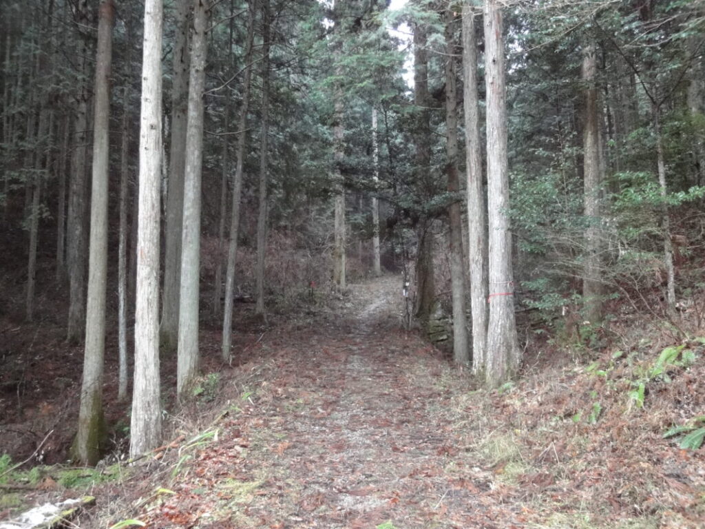 Path to the Hatchōzaka Pilgrimage Trail