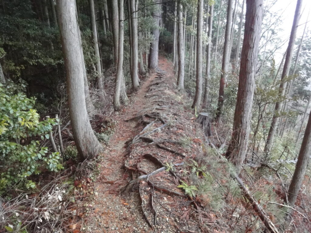 Ridgeline trail leading to Iwayaji