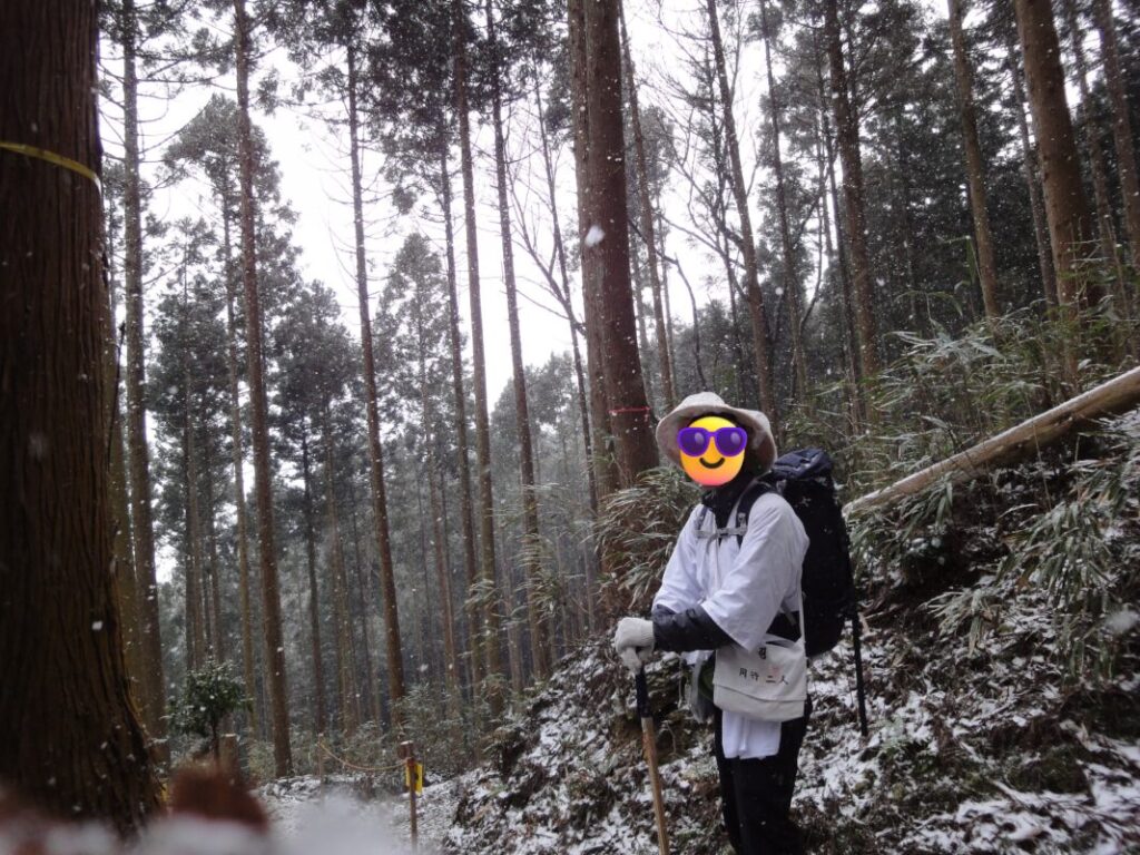 Snow beginning to fall on the Yokomineji mountain trail