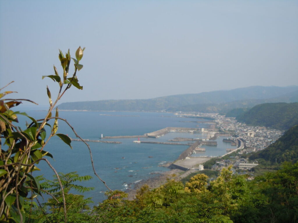 View of Muroto and the Pacific Ocean from Hotsumisakiji (160 m elevation)