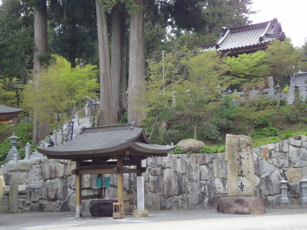 The giant trees at the entrance and within the grounds of Unpenji Temple.
