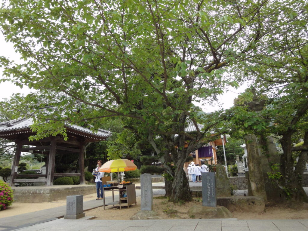 曼荼羅寺境内とみかんの無人販売所