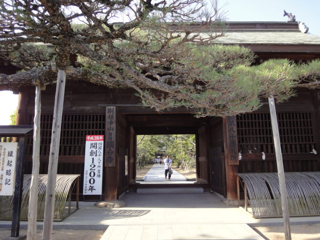 The Niomon Gate and Japanese black pine trees at Kokubunji Temple.