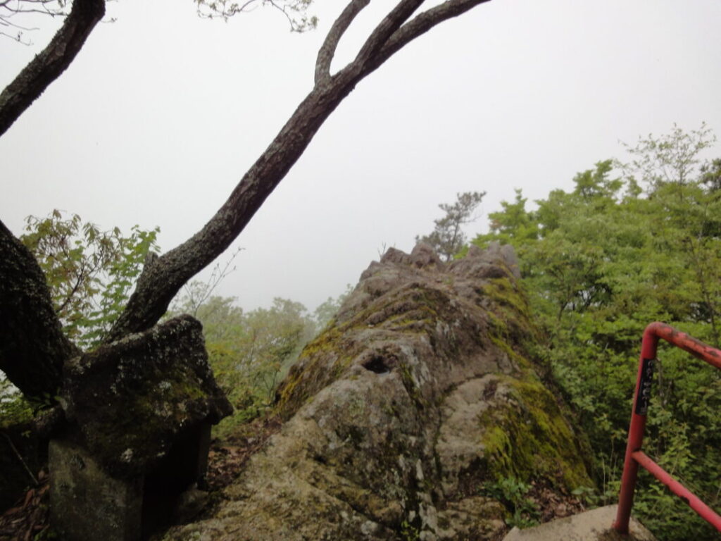The mountain route to Okuboji Temple. Fog obscured the views along the way.