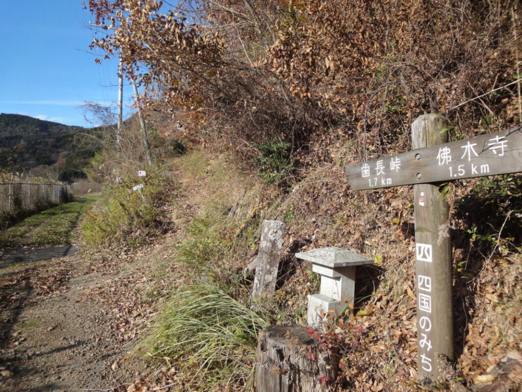 Hanaga Pass Trailhead